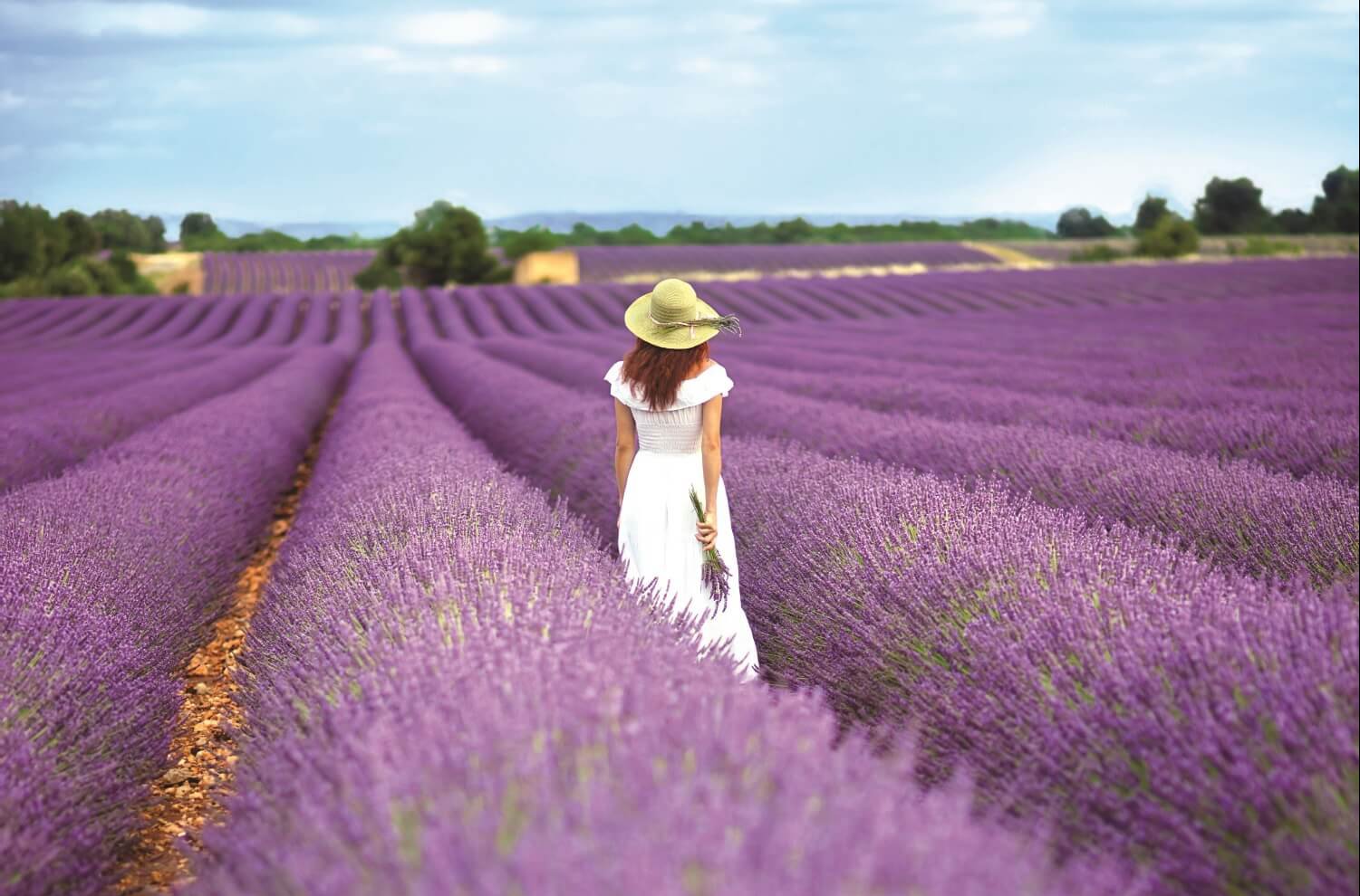 Kvinne går i lilla åker i Provence