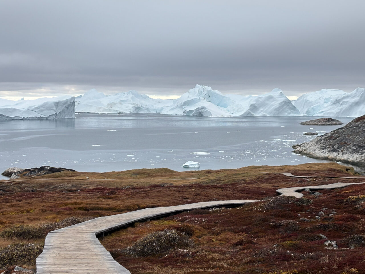 Plankesti nedover mot en fjord med isfjell. Foto