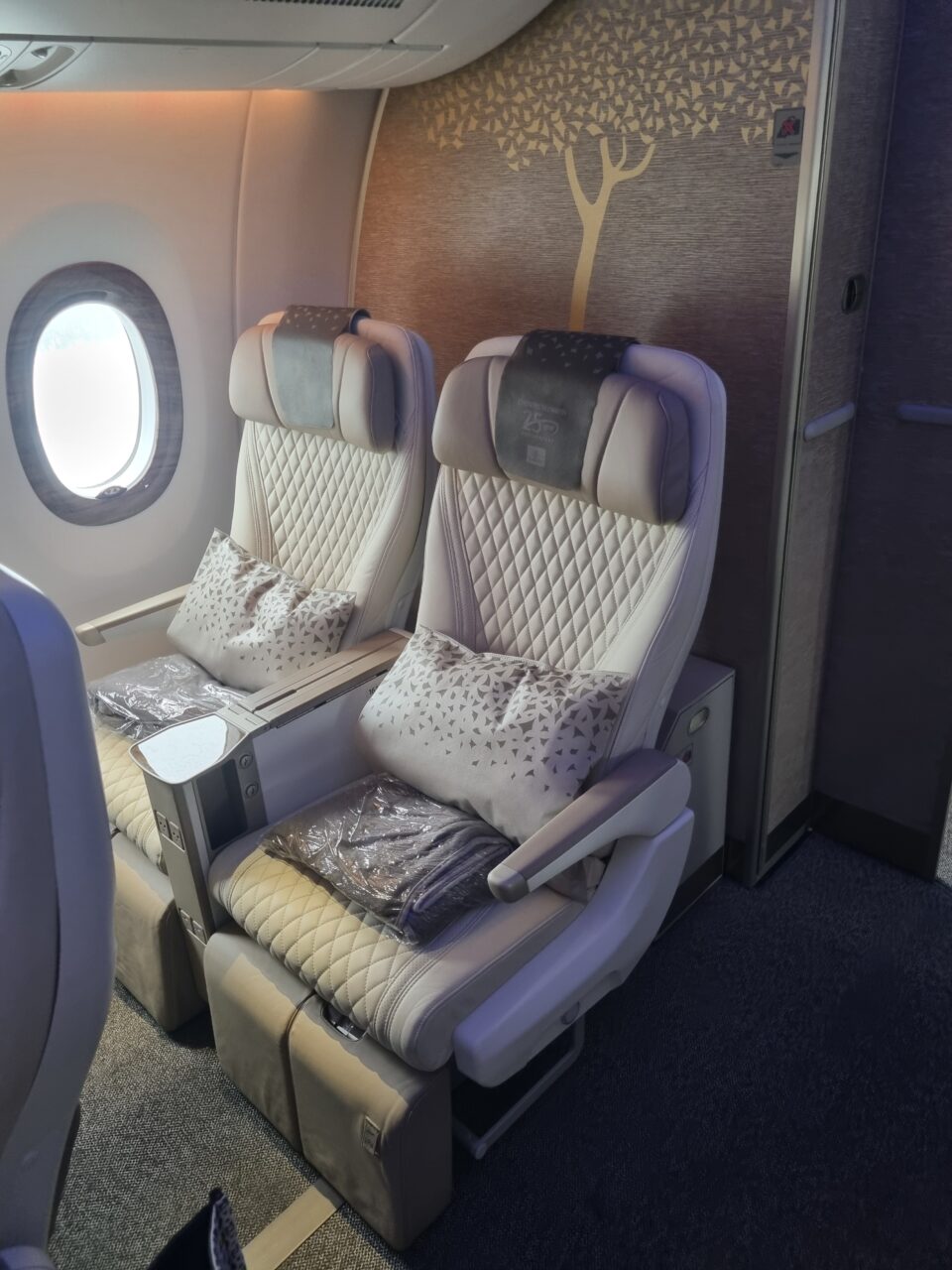 Premium flyseter med fotstøtte, pute og pledd. Foto
