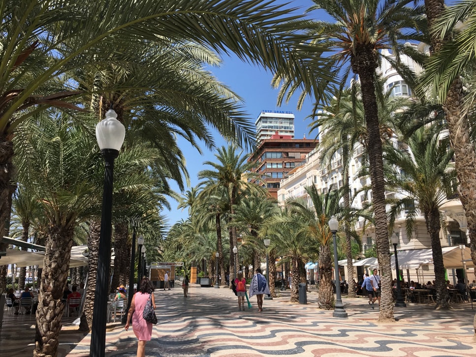 Alicantes havnepromenade, Explanada de Espana, som er en flislagt gate med palmer på hver side. Foto