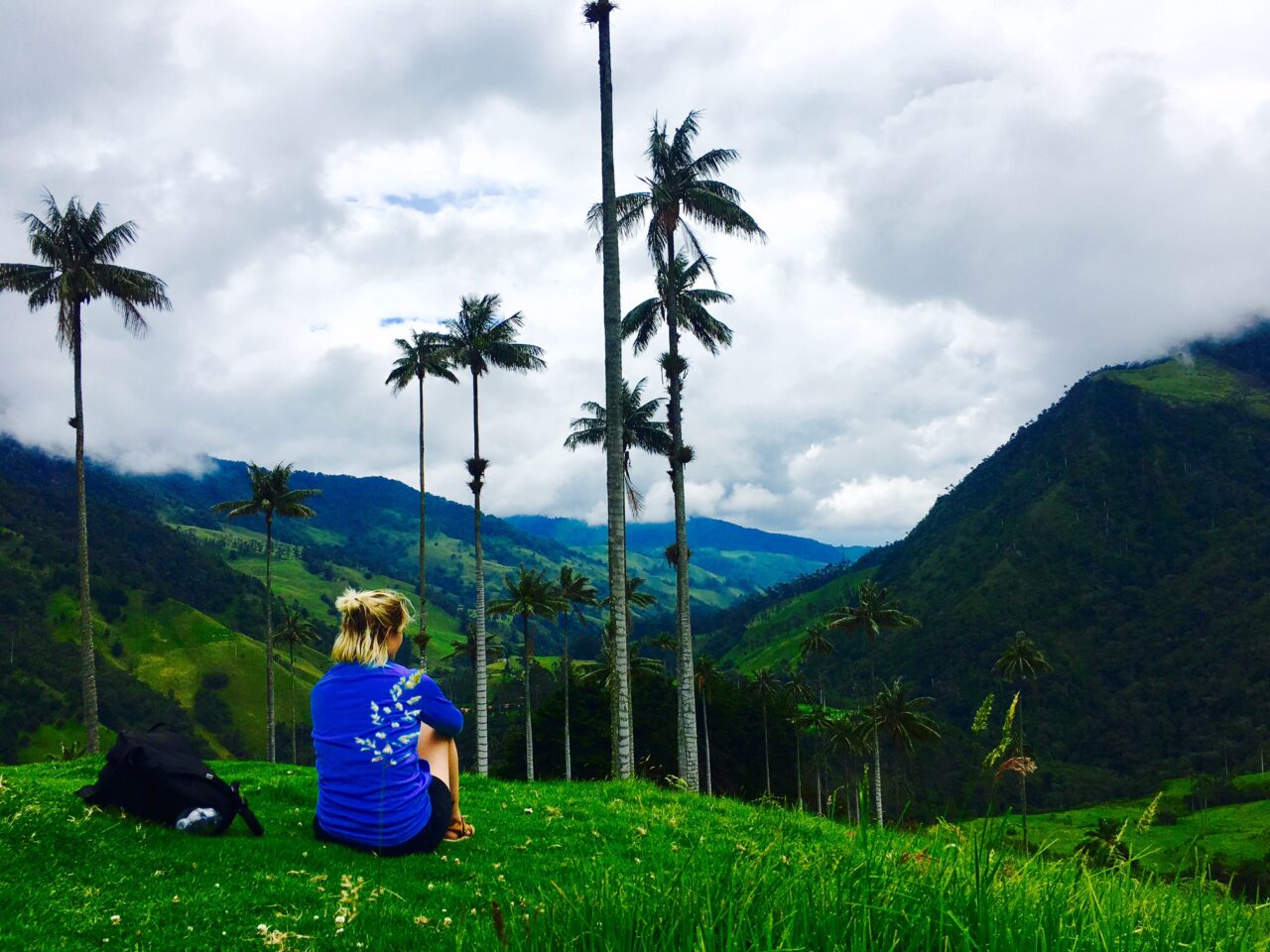 Valley Cocora i Salento, Colombia