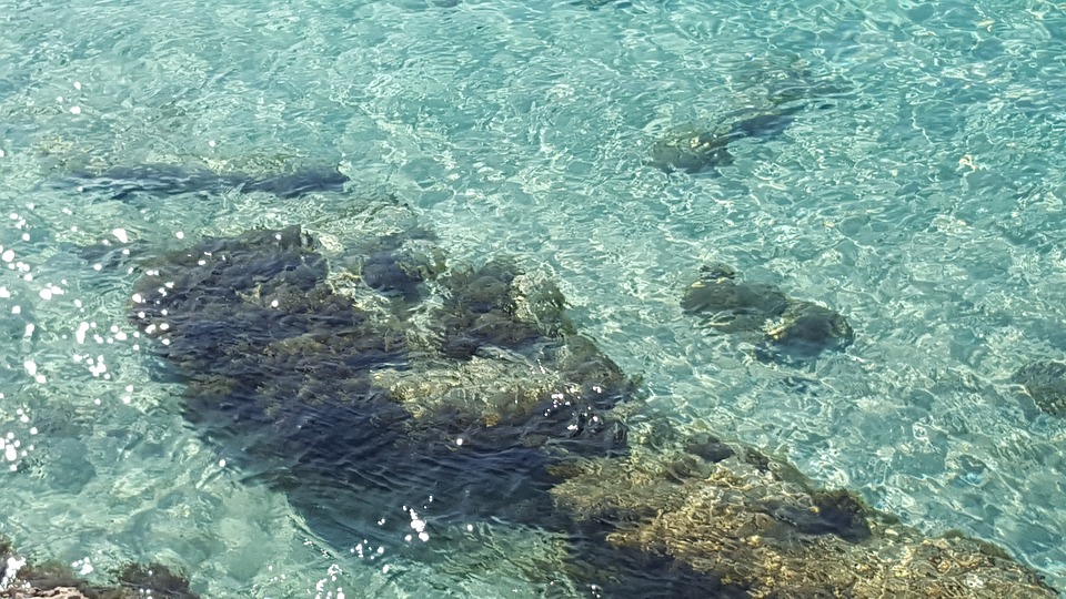 Klart vann på stranden i Malta