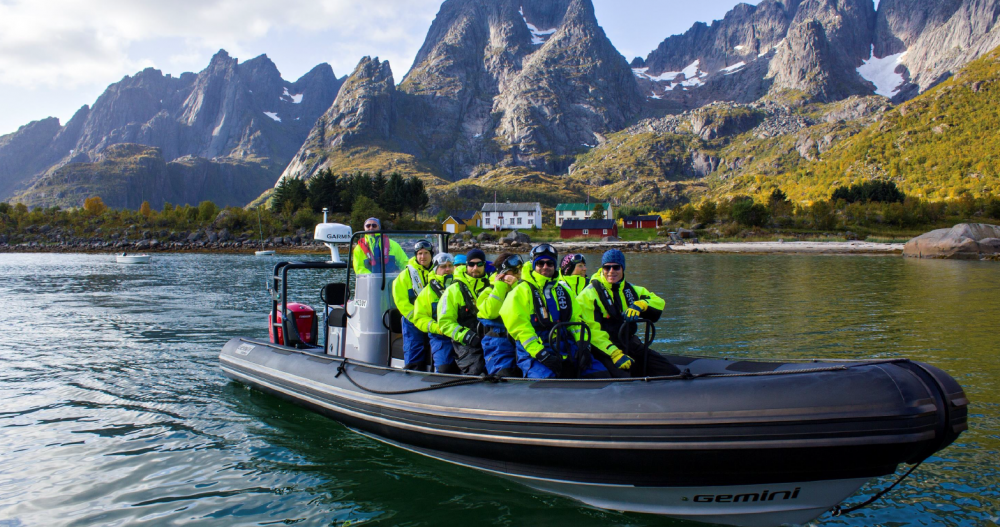 RIB-tur og havørnsafari i Lofoten