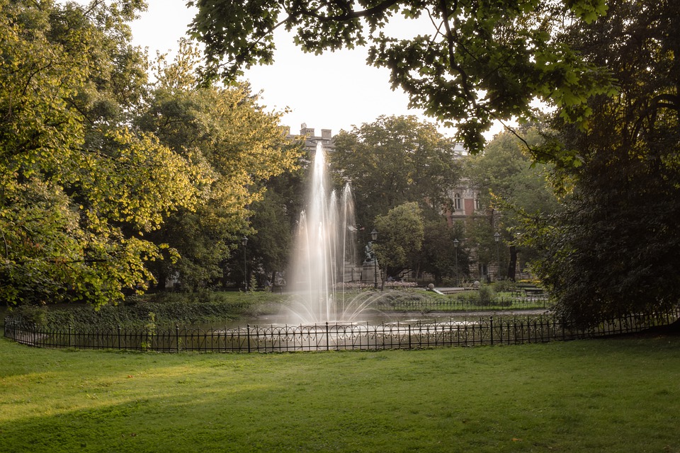 Grønn park i Krakow, Polen