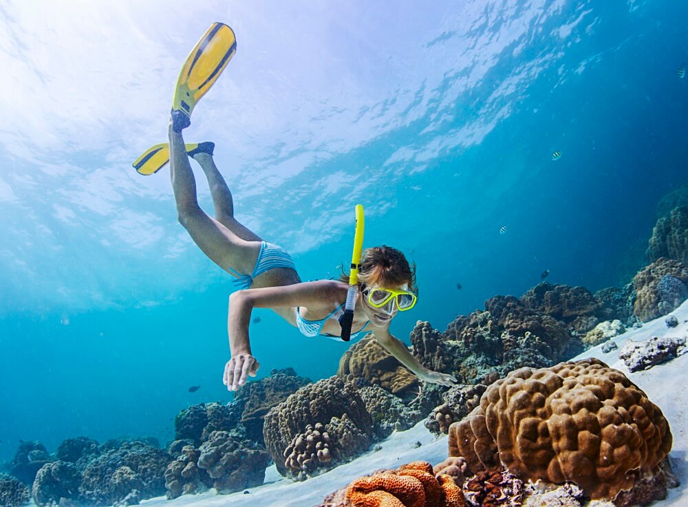 Snorkling på cruise med MSC