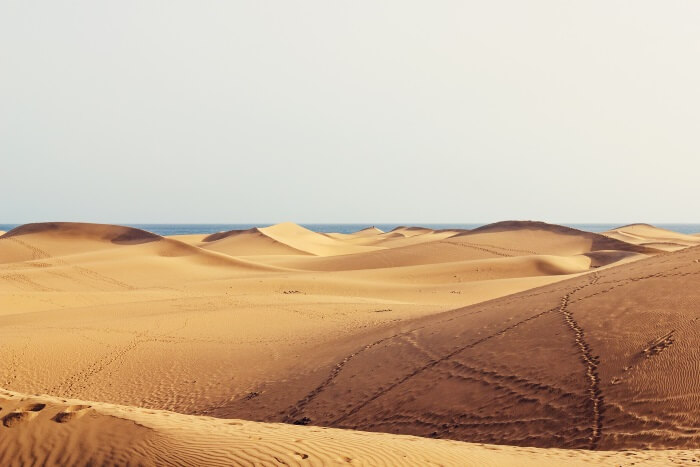 Sanddynene på Meloneras, Gran Canaria