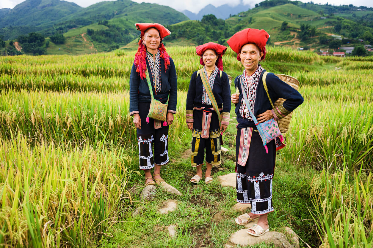 Vietnamesere i risåkeren