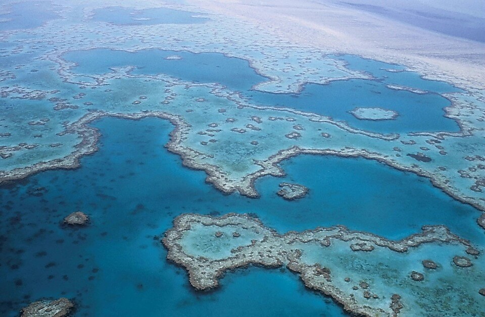 Great Barrier Reef, Australia