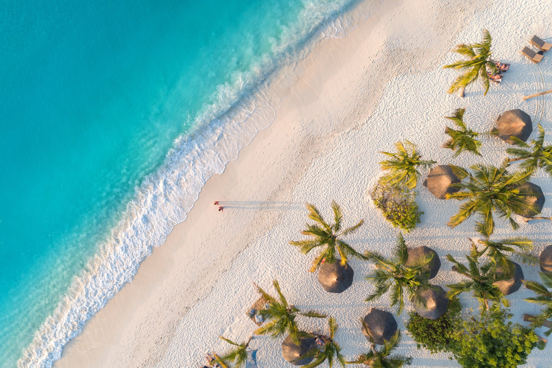 Strand, palmer og vakkert blått hav