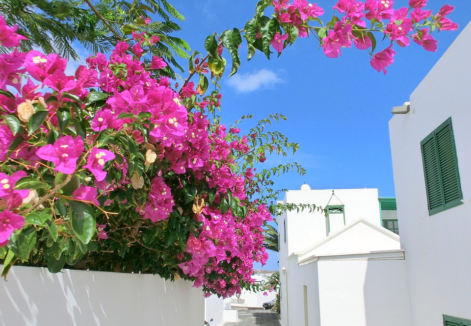 Lanzarote, Kanariøyene