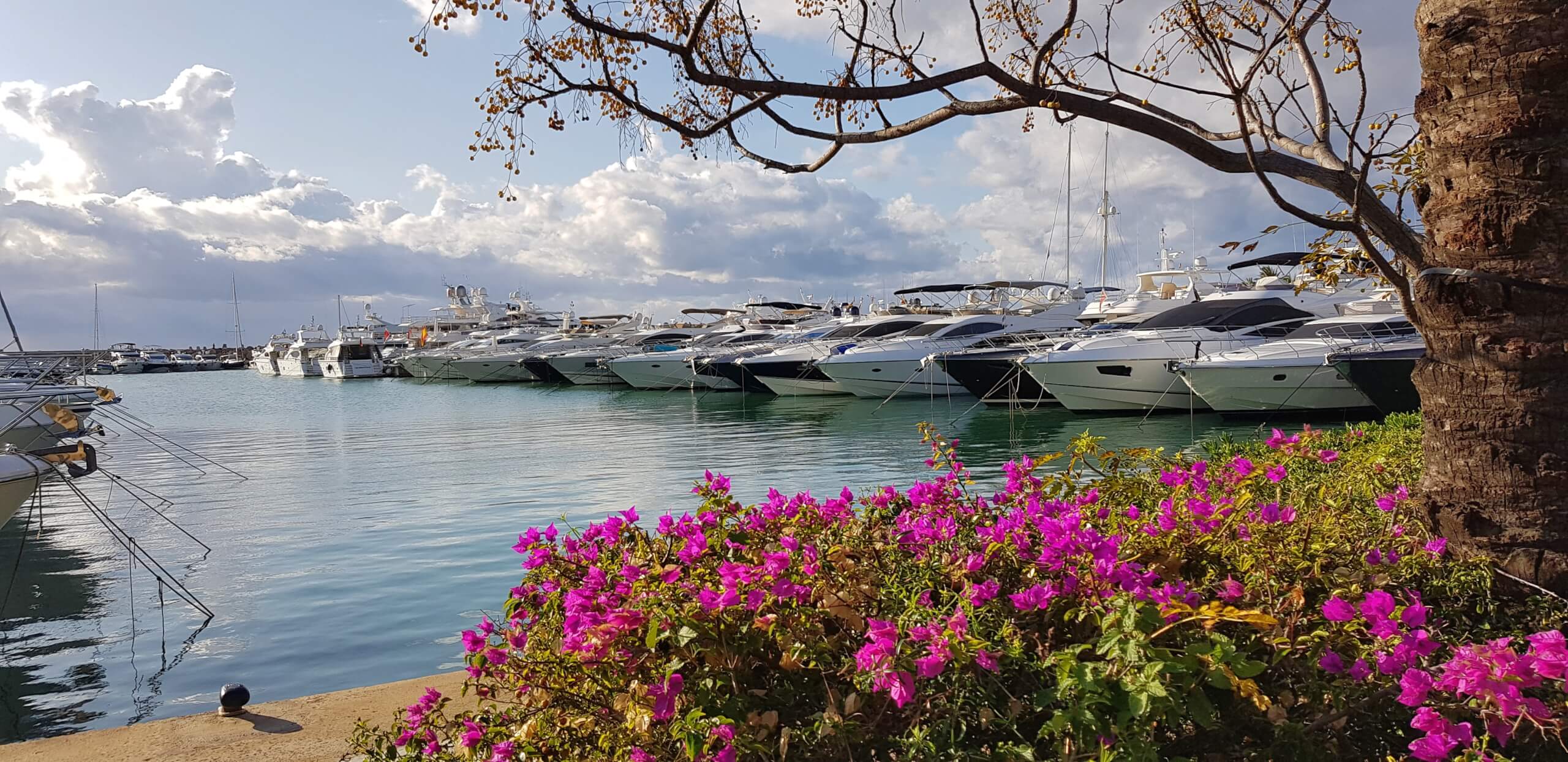 Blomster og båter langs Palmabukten, Palma de Mallorca