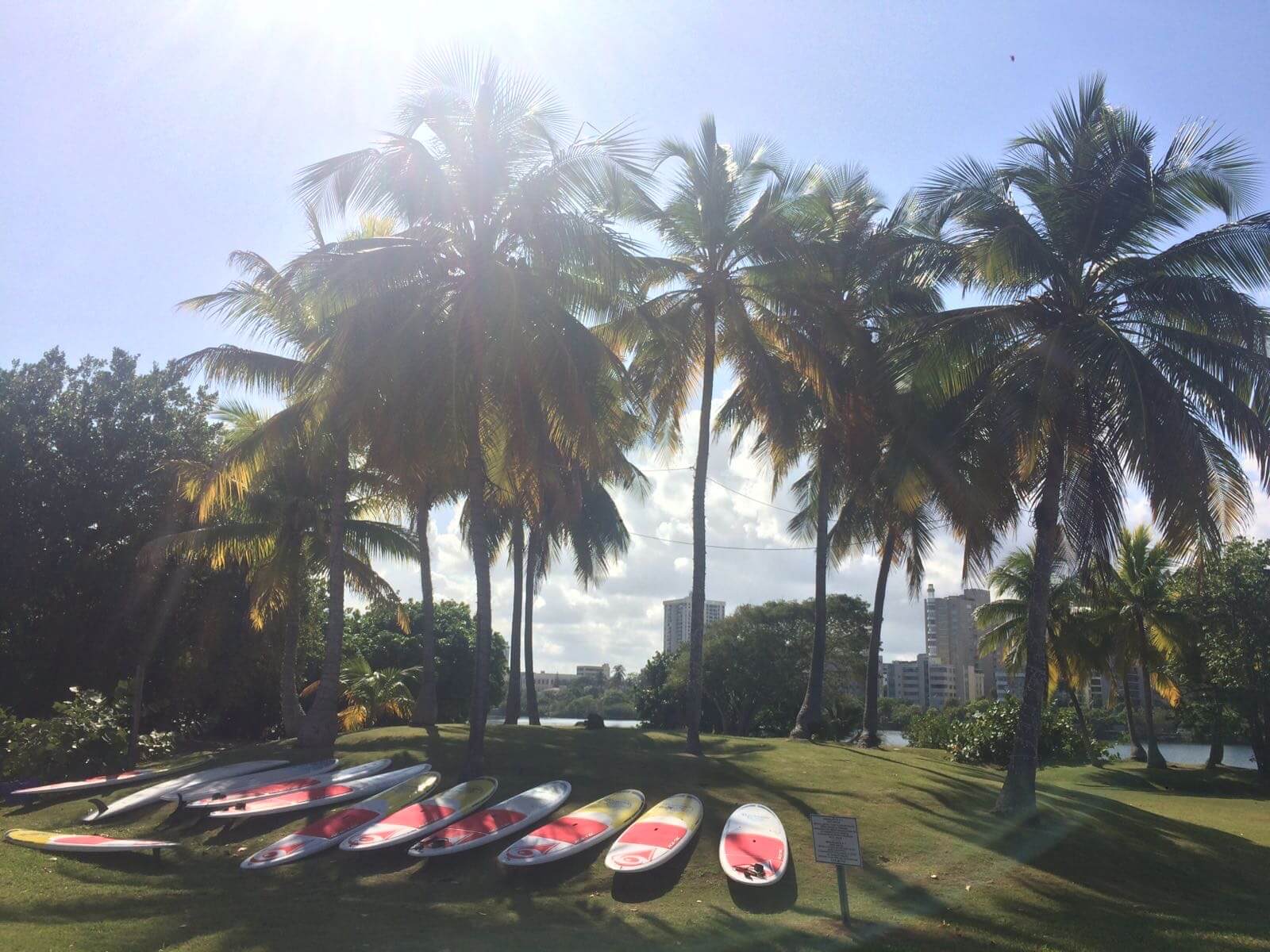 SUP på Condado, Puerto Rico