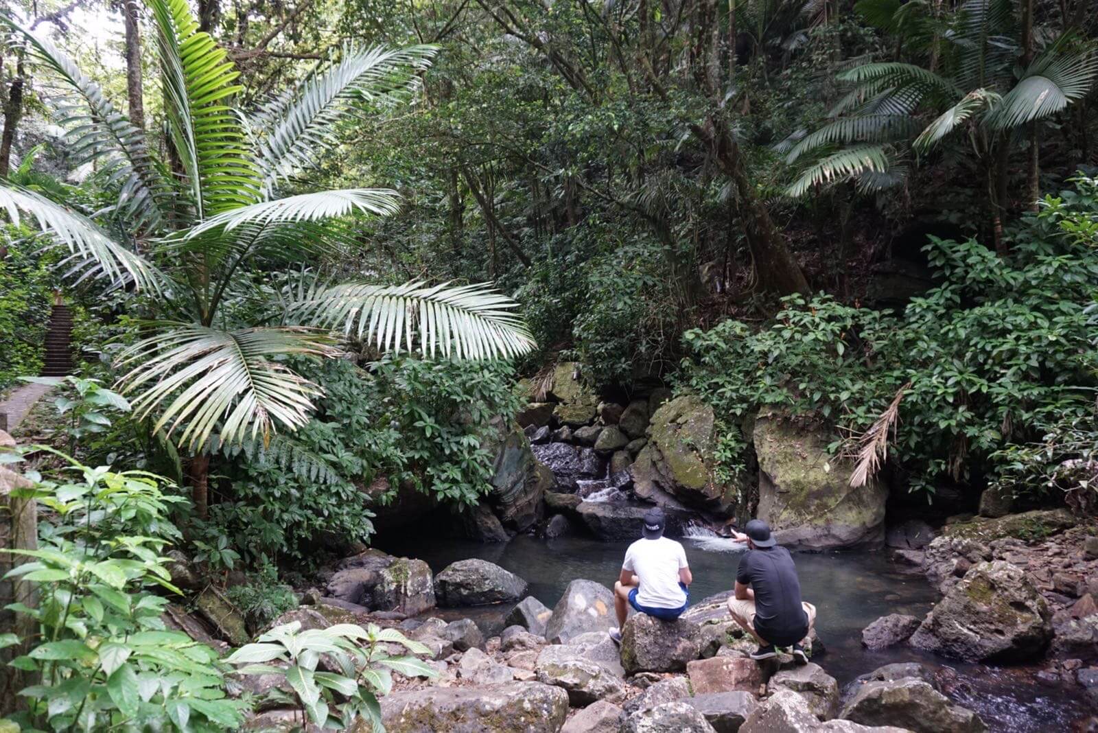 El Yunque Rainforest, Puerto Rico