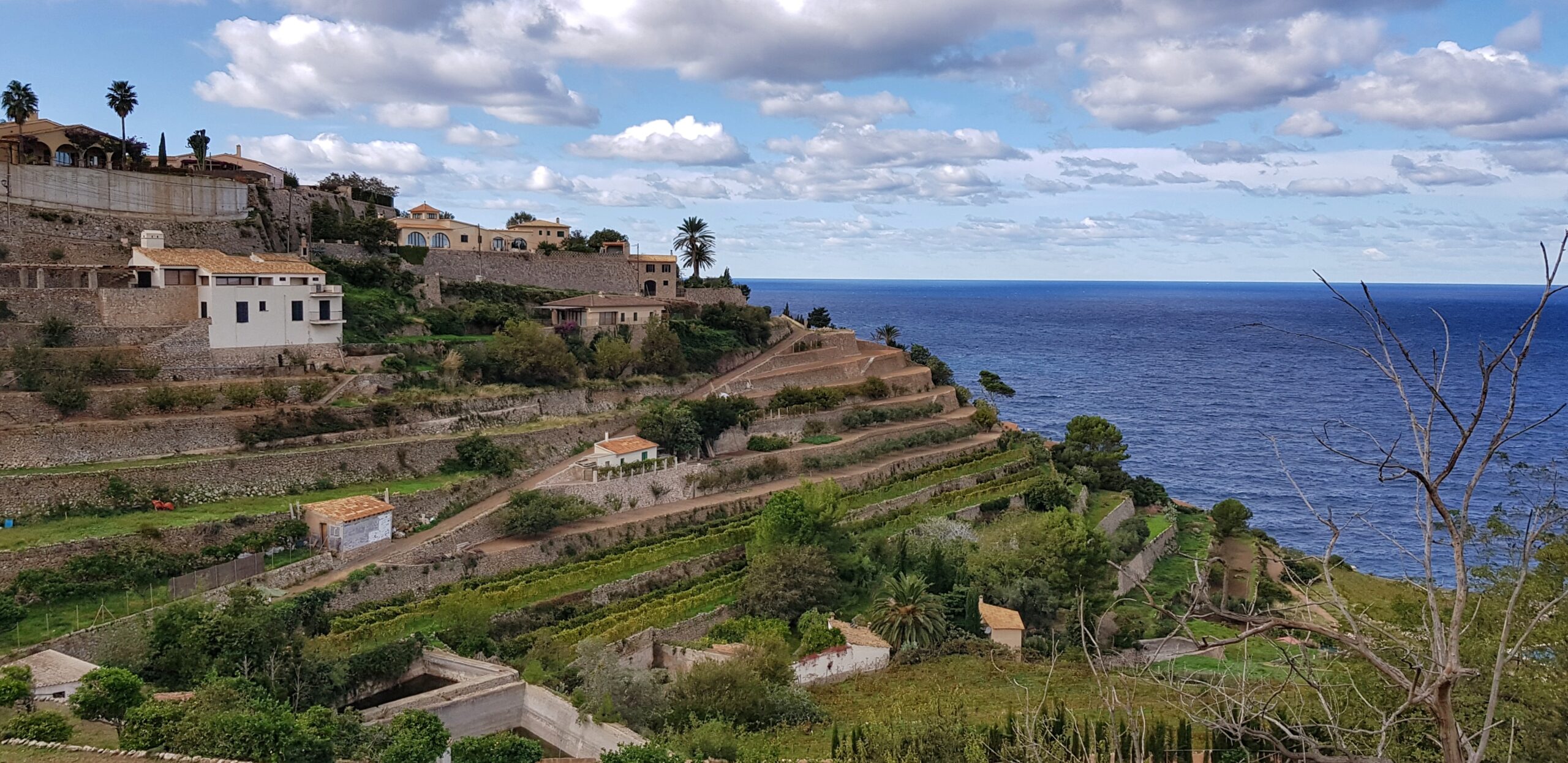 Terrassehager i Banyalbufar, Mallorca