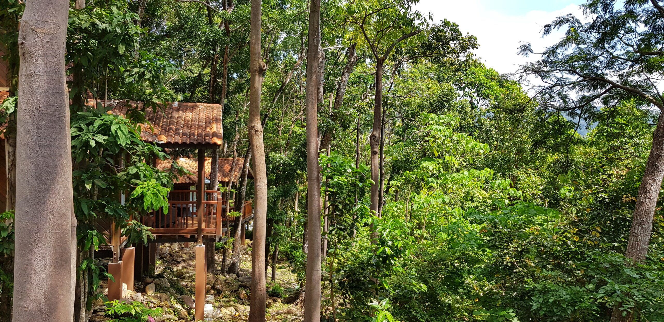 Villa i regnskogen på Berjaya Langkawi Resort