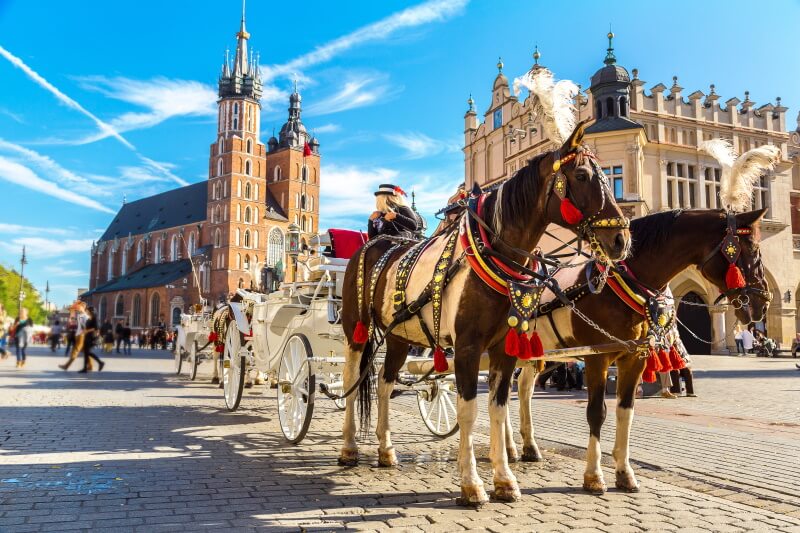 Hest på markedsplassen i Krakow