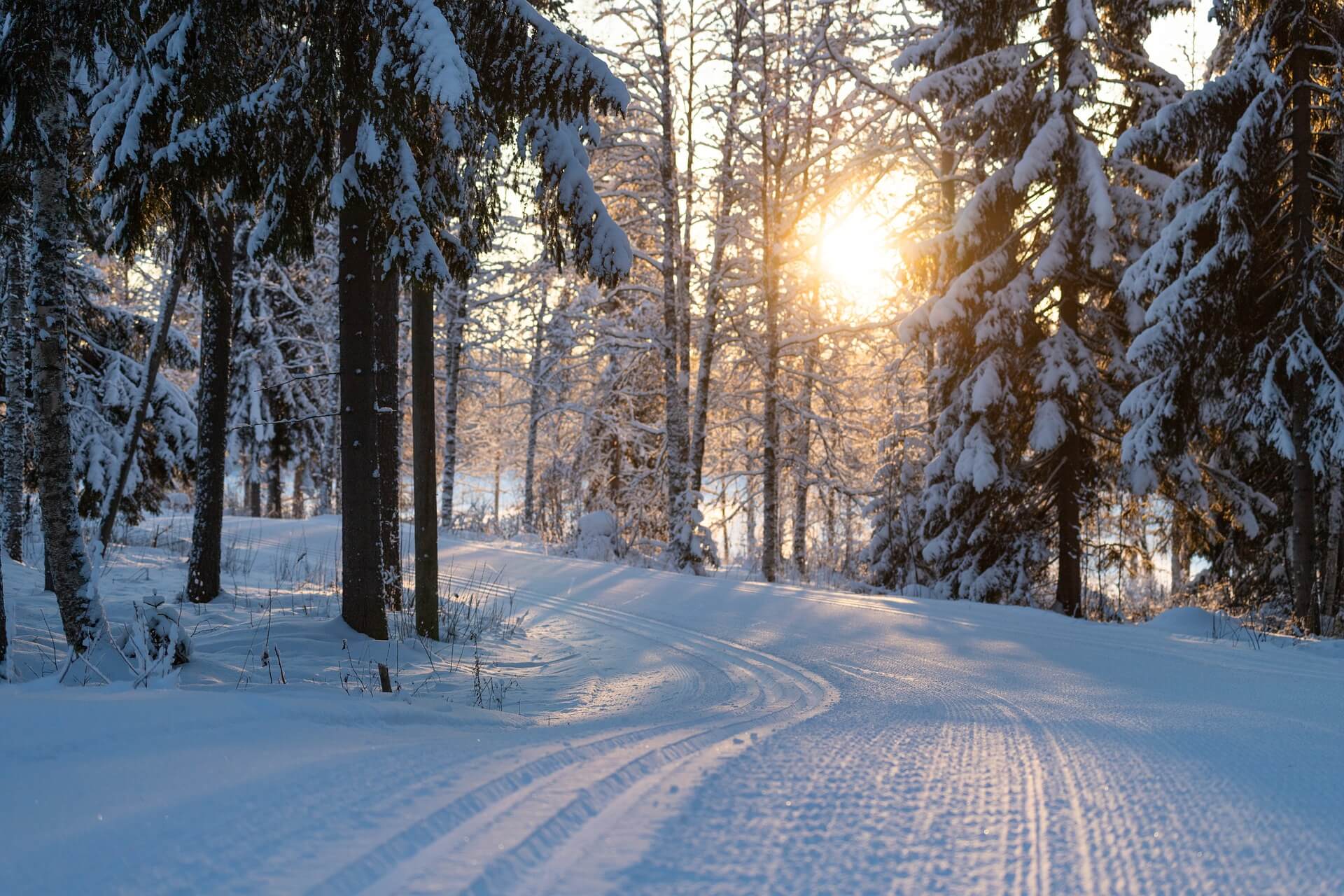 Skiløyper i marka