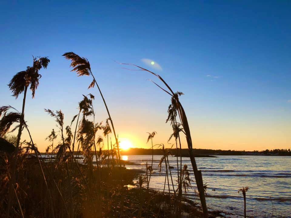 Kyststien i Stavern i solnedgang