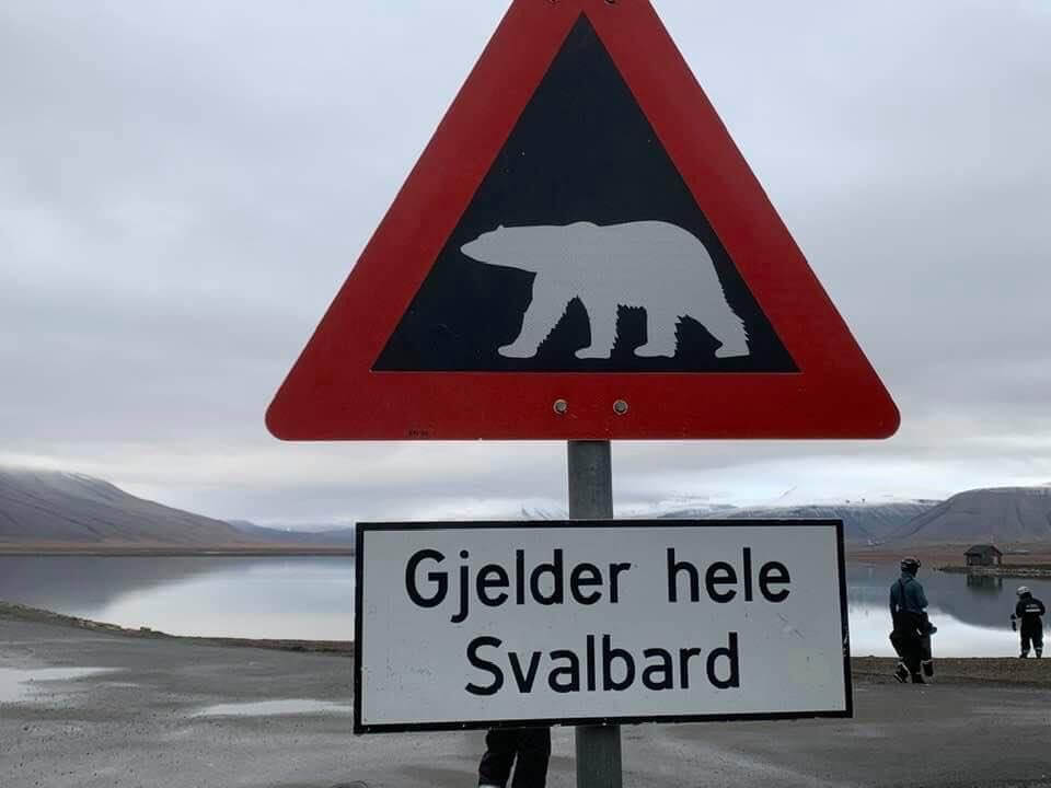 Isbjørnskilt på Svalbard