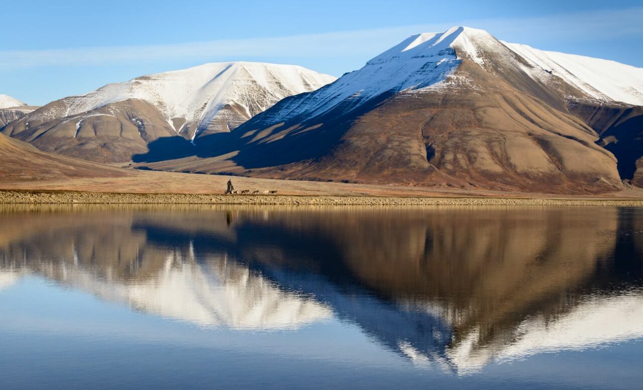 Hundekjøring om sommeren på Svalbard