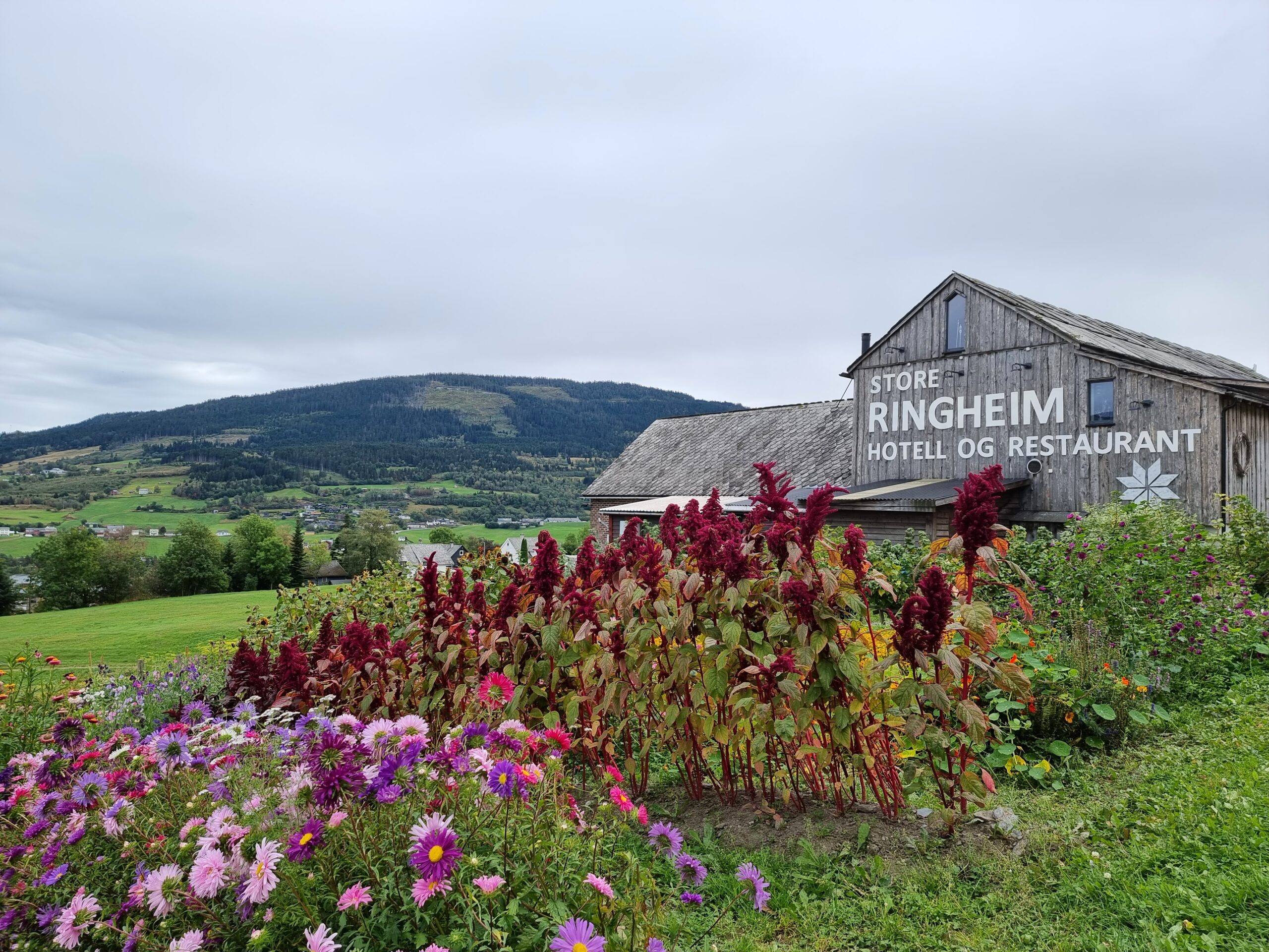 Store Ringheim