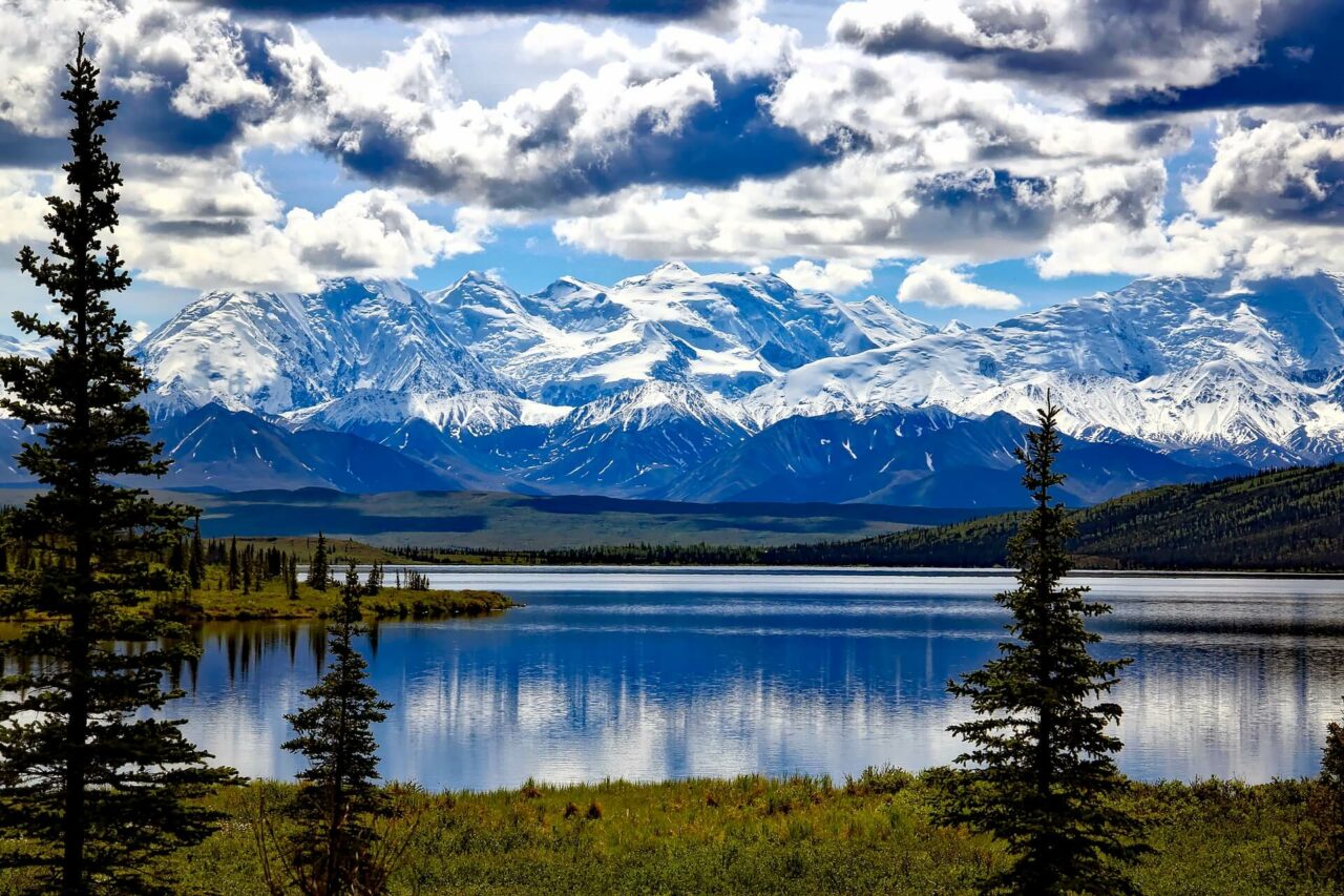 Vakker storslått natur i Denali National Park