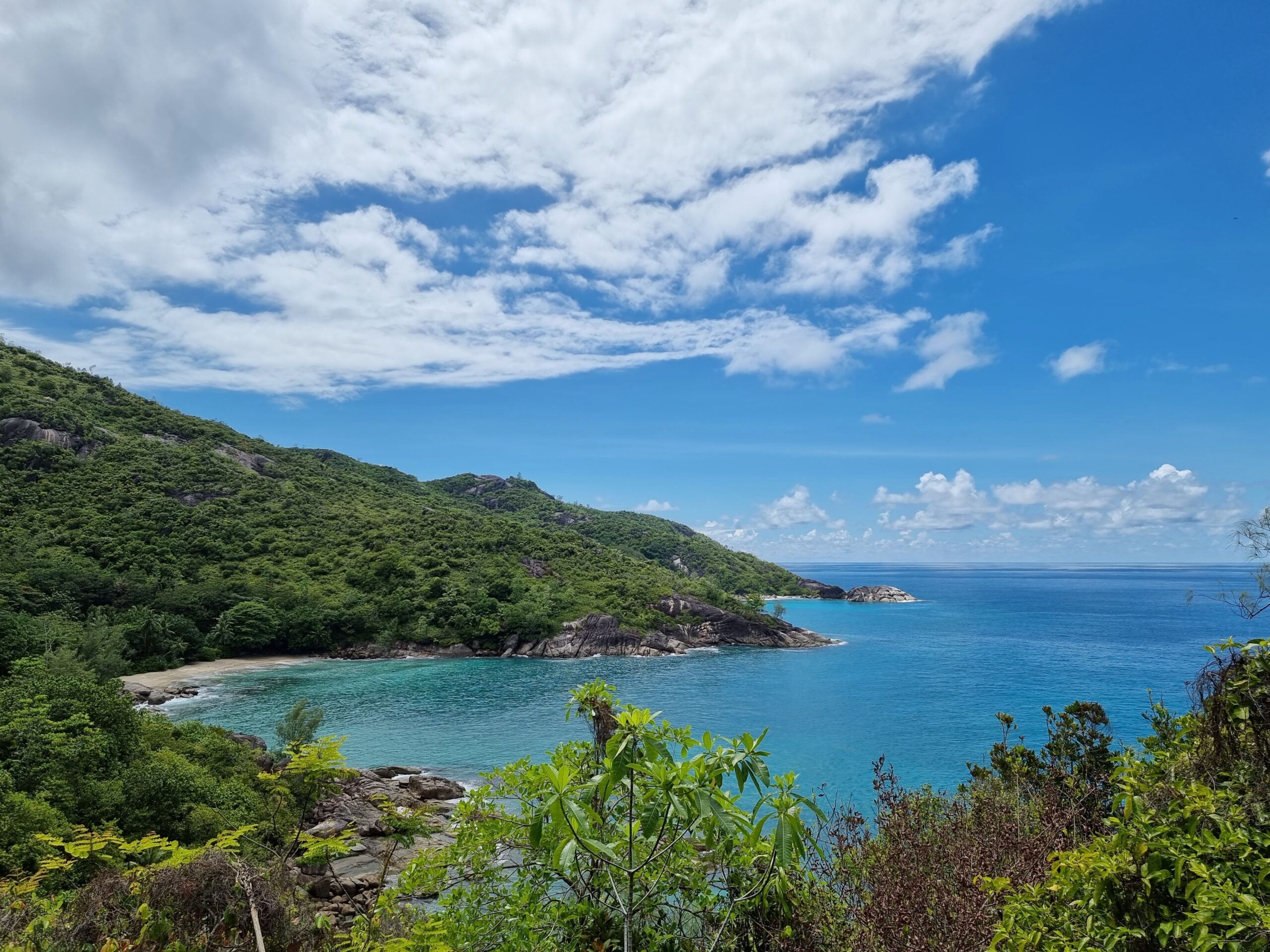 Anse Major Nature Trail på Mahé, Seychellene