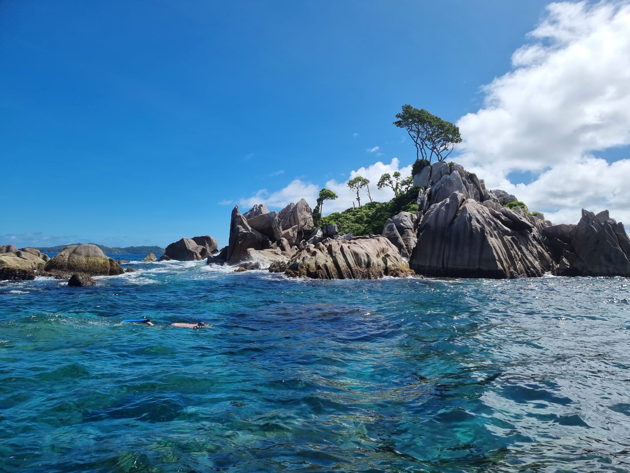 Snorkling ved Ave Maria, Seychellene