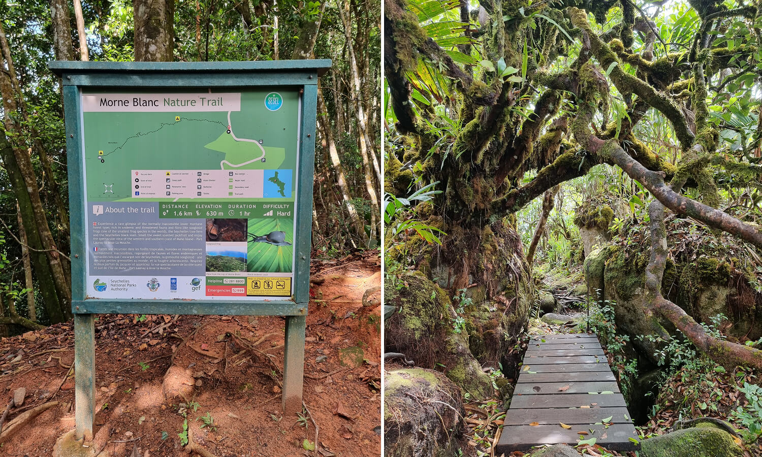 Morne Blanc Nature Trail på Mahé, Seychellene