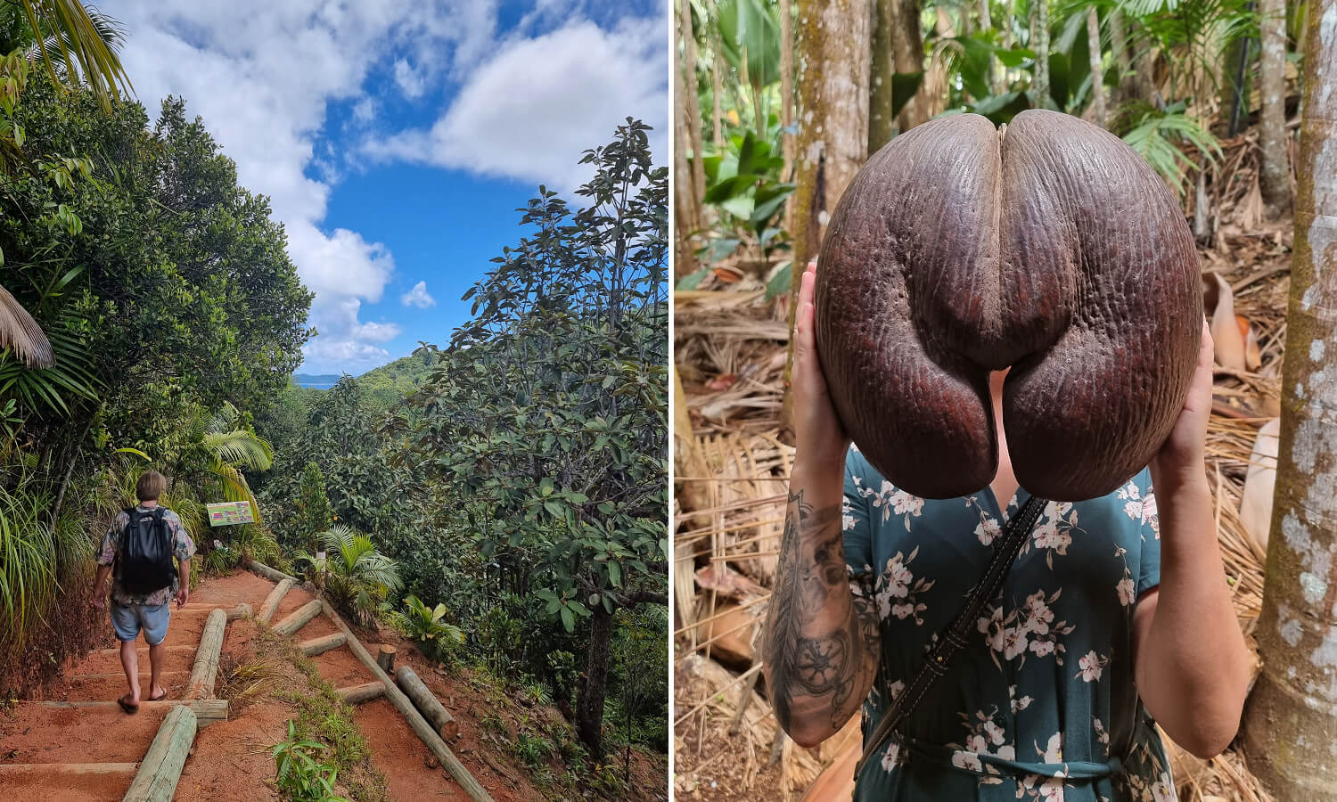 Vallée de Mai på Praslin, Seychellene