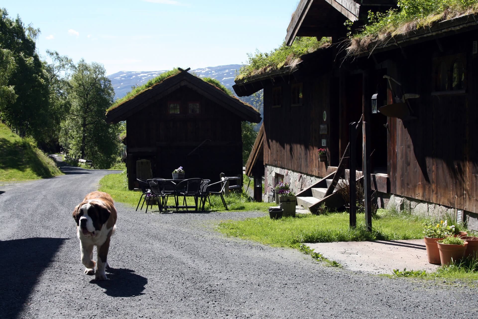 Gårdsplassen på Lien Fjellgård