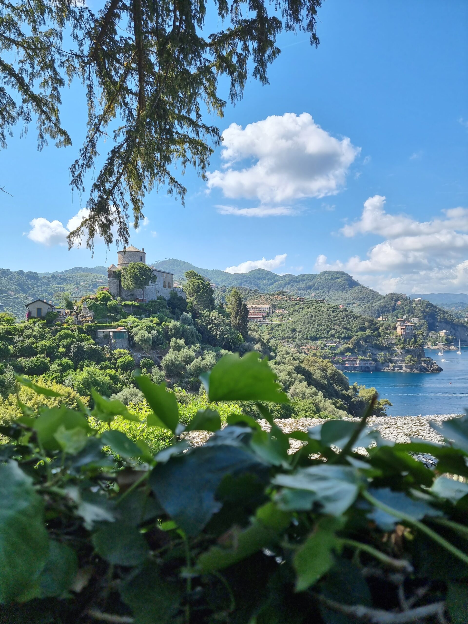 Tur i skogen med vakker utsikt i Portofino