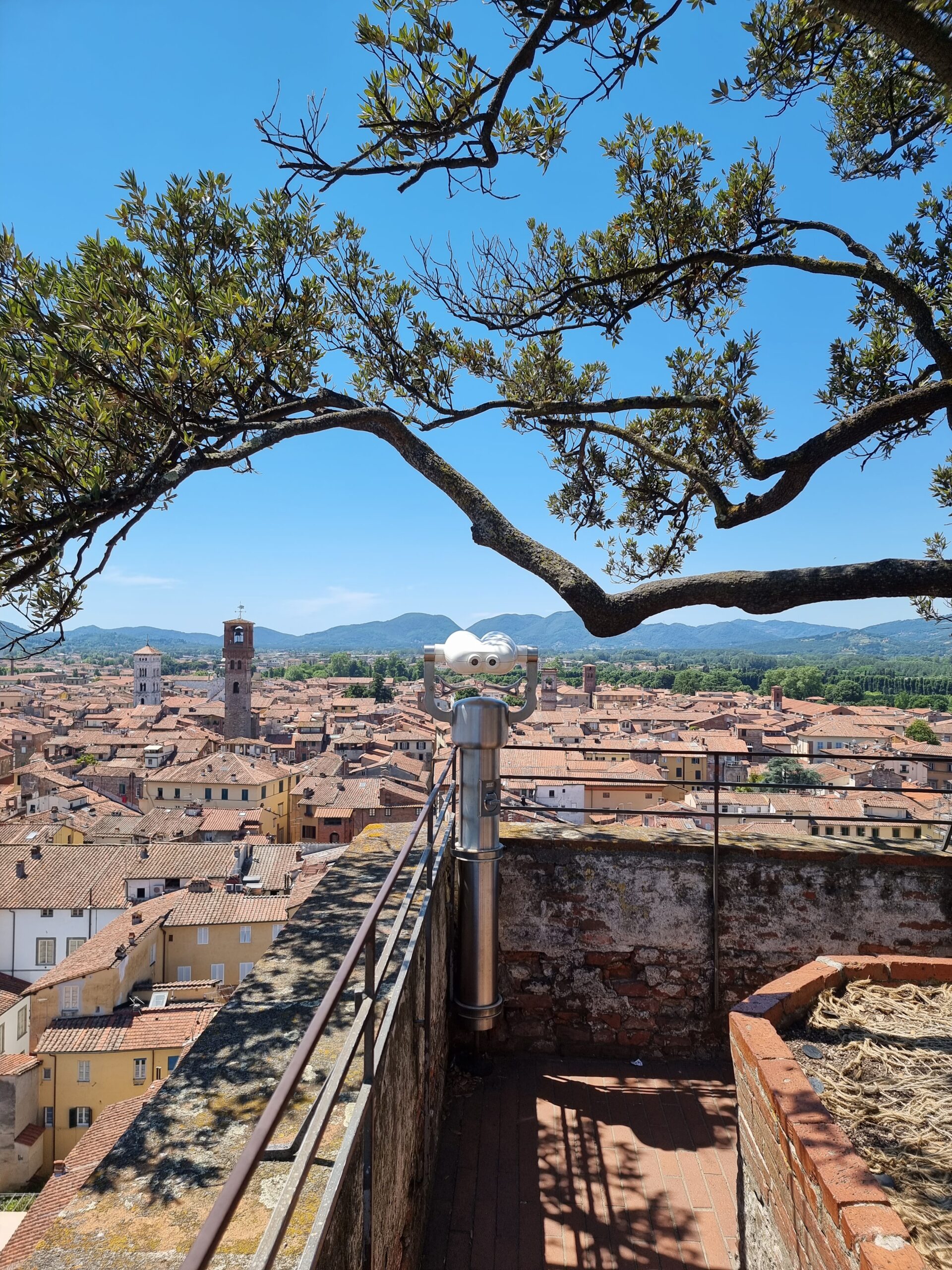 Utsikt over byen Lucca