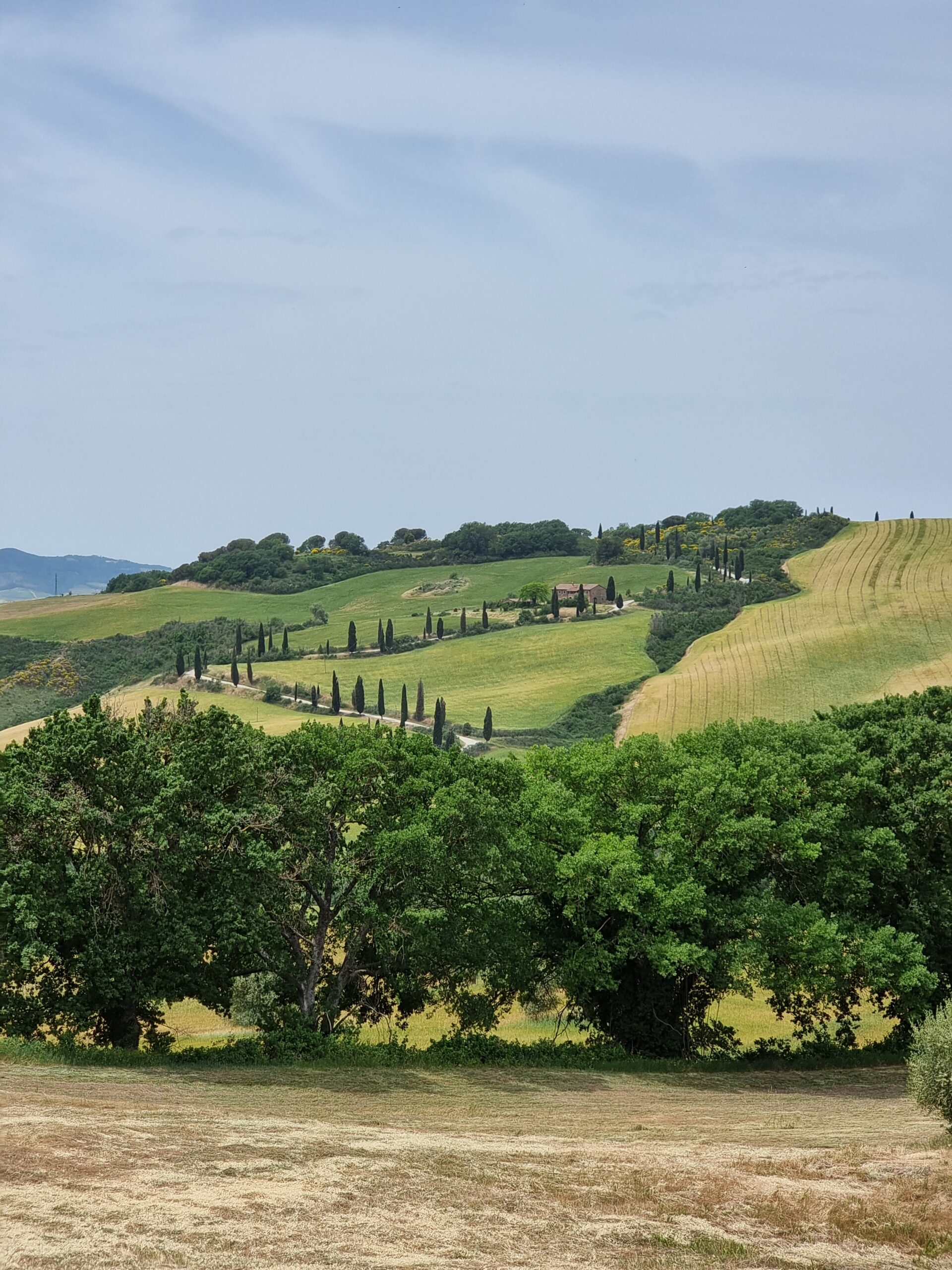 Vakkert og grønt naturlandskap i Toscana