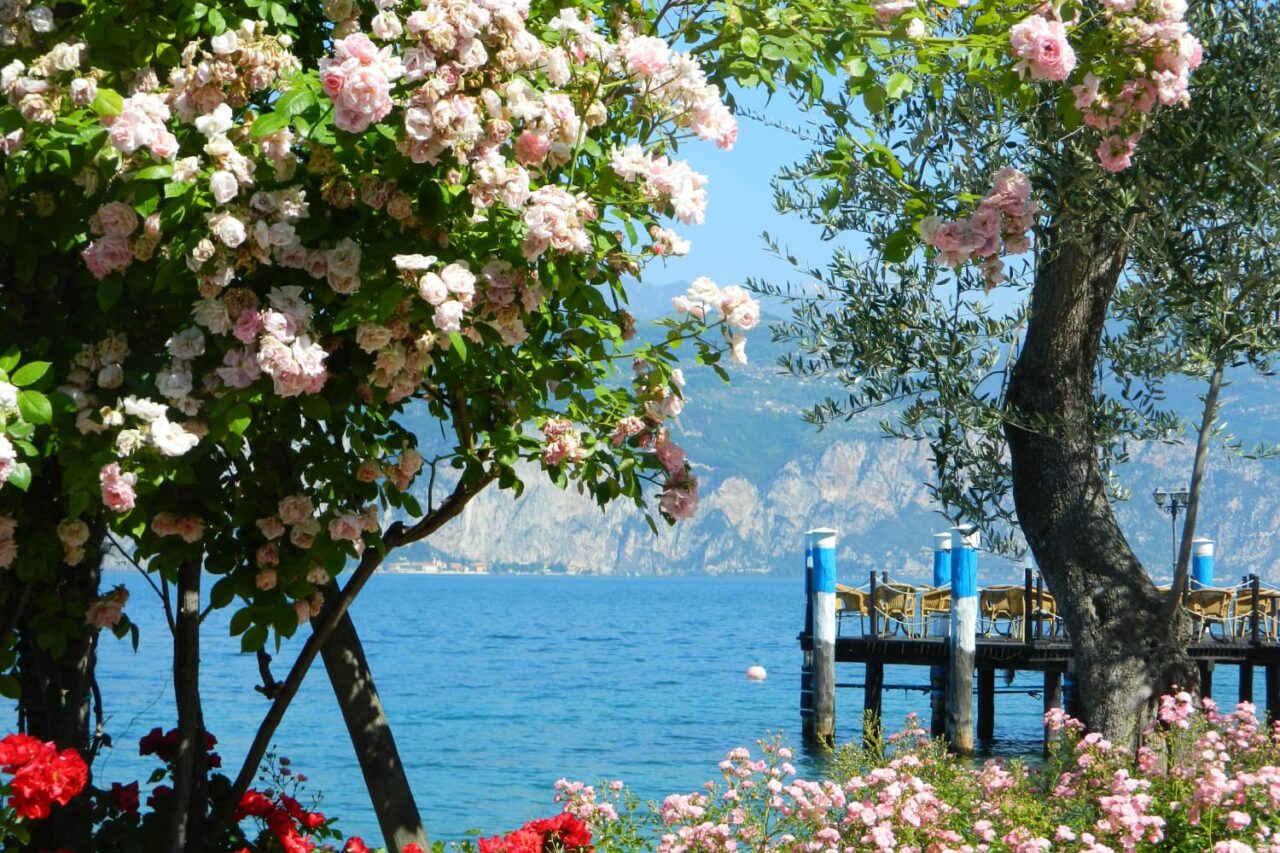 Blomster som dekker foran et blått hav. Foto