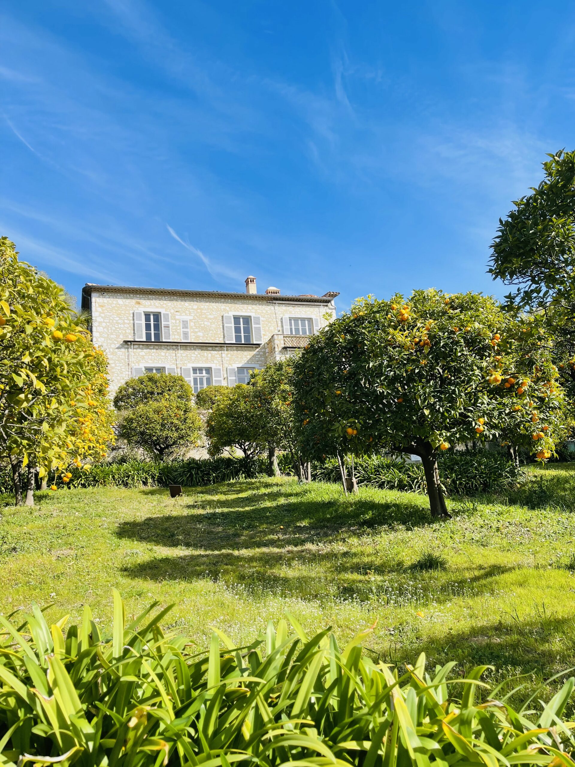 Musèe Renoir - Et hus innkapslet i en vakker hage. Foto