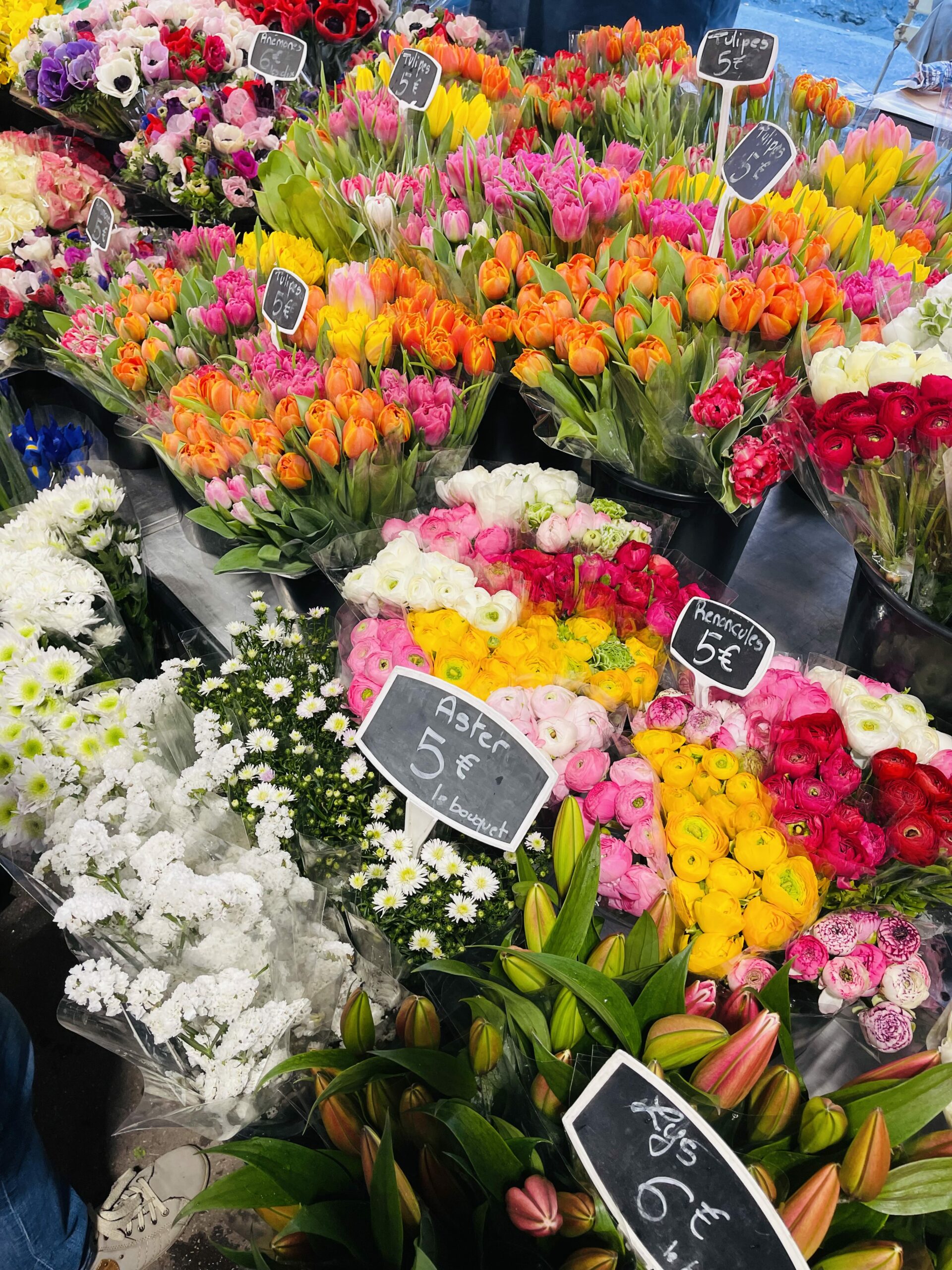 Forskjellige blomster i mange farger. Foto
