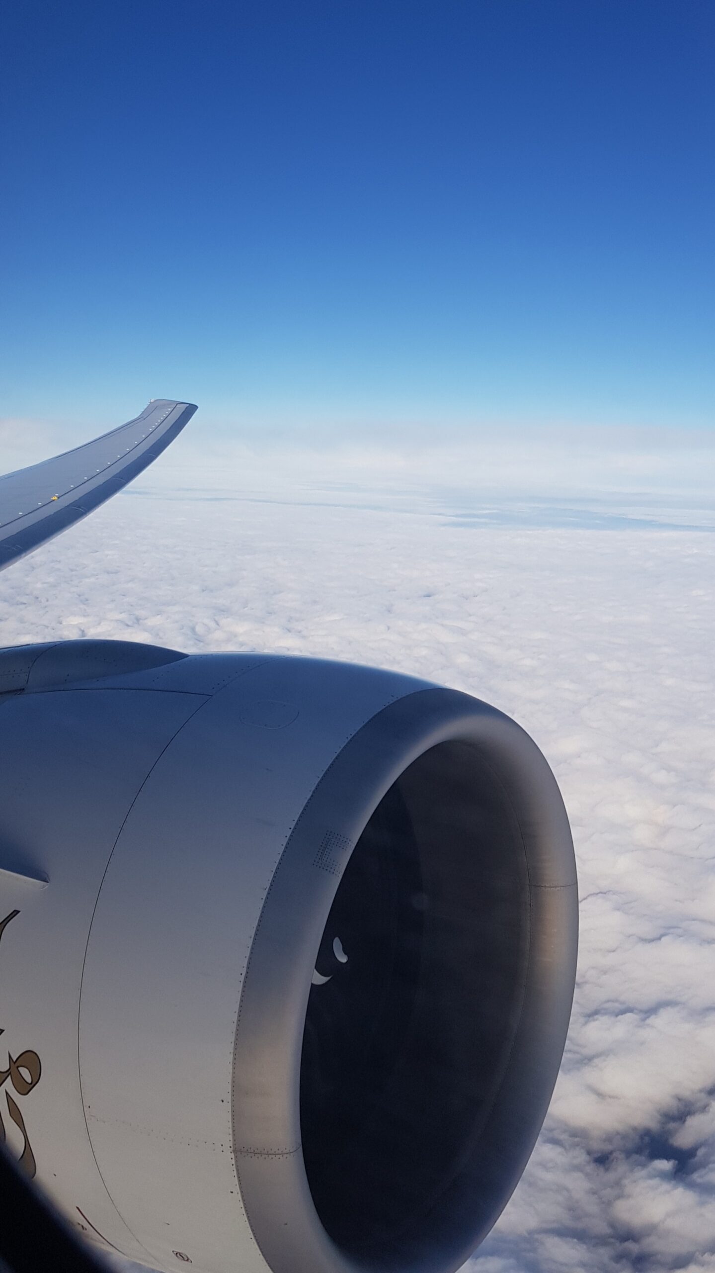 Flyvinge i luften sett fra vinduet. Foto