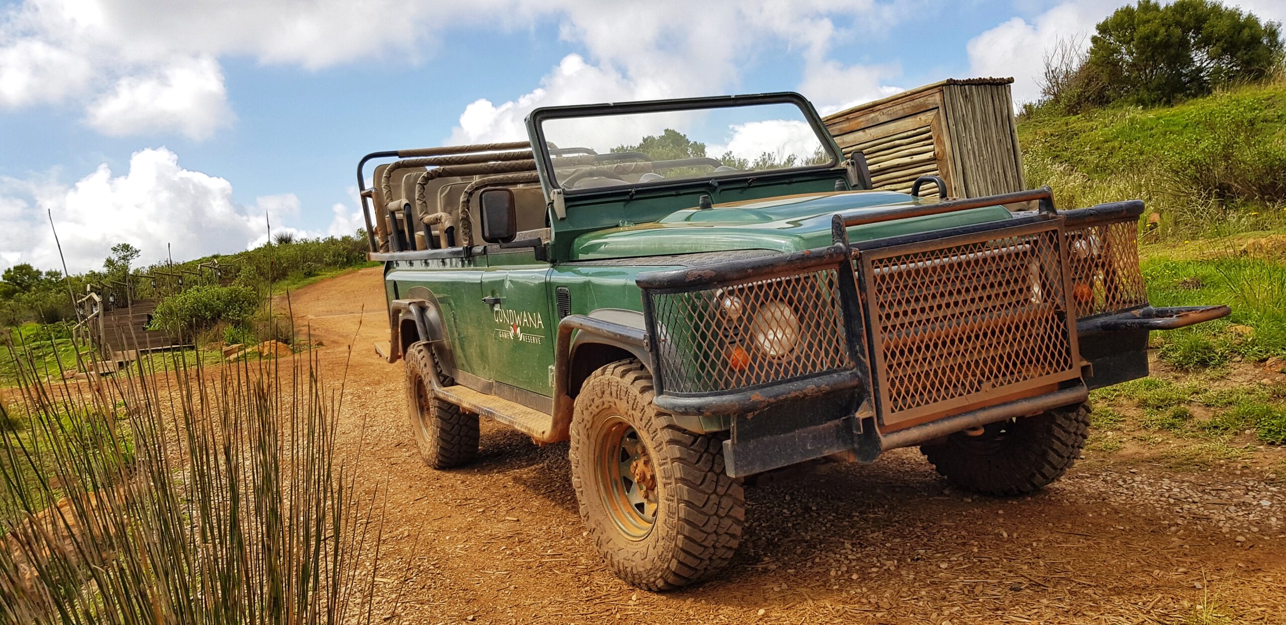 Grønn åpent Jeep står parkert ved en jordvei. Foto