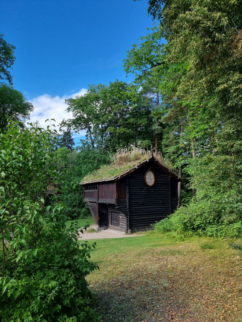 Et koselig, gammelt trehus i et skogholt. Foto