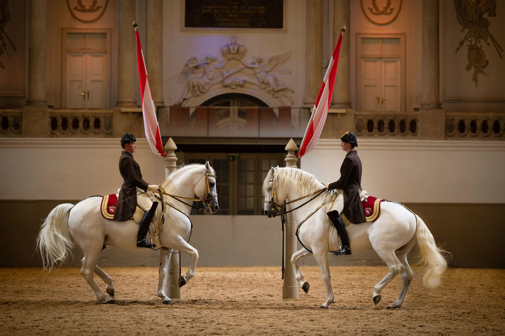 Spanske rideskolen 2 hester mot hverandre i manesjen. I bakgrunnen ser vi vakker dekorasjon med detaljer på bygget og Østerrikes flagg. Foto