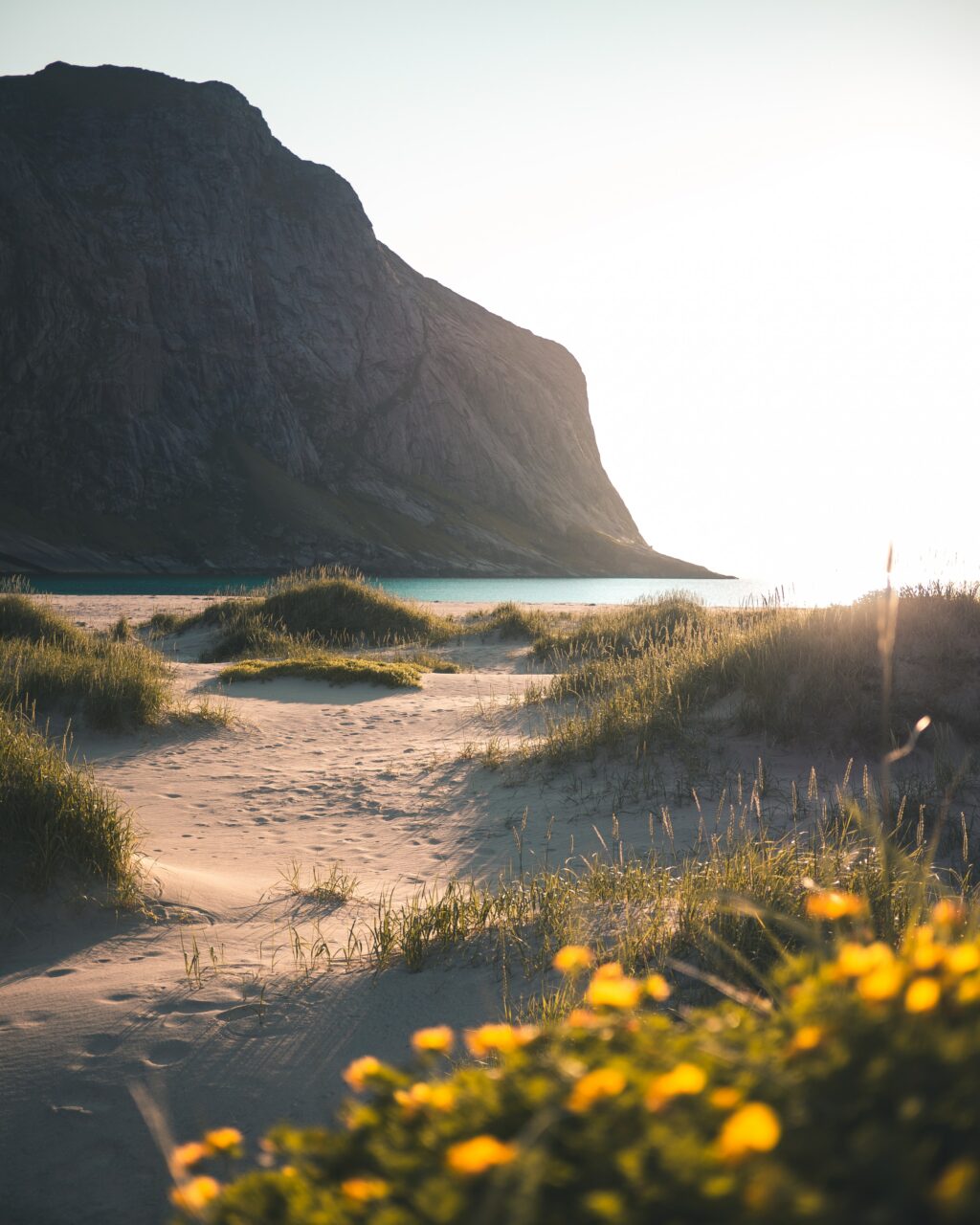 Finkornet sand mellom gresstuer og fjell. Foto